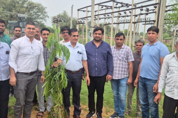 “मिशन हरियालो राजस्थान” के तहत एवीवीएनएल अधीक्षण अभियंता एफआर मीणा के नेतृत्व में किया सघन पौधरोपण